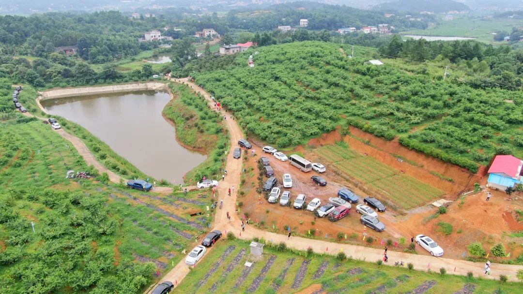 四清種養(yǎng)殖專業(yè)合作社(圖1) 四清種養(yǎng)殖專業(yè)合作社(圖1)